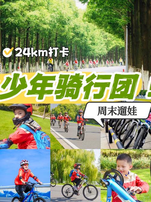 途经6座城市,杭州妈妈带两个娃4天骑行300公里