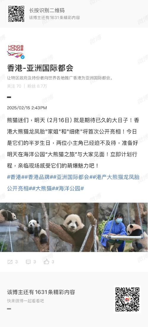 首对“港产”龙凤胎大熊猫快速成长
