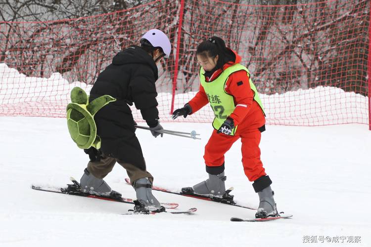 (新春走基层)“冰雪热”持续升温 “北上”滑雪成港澳居民休闲新选择