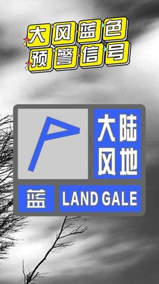 陕西省大荔县发布大风蓝色预警