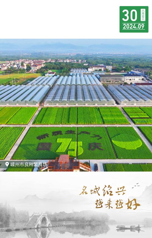 河南虞城郑海村:发展“种养加”为乡村振兴增添产业力量