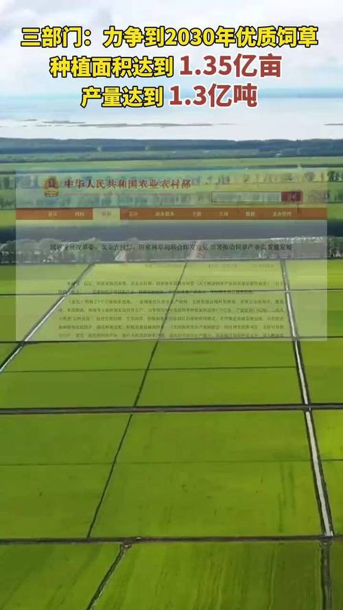 三部门:到2030年 全国优质饲草种植面积力争达到1.35亿亩