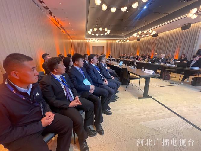 2029相约张家口!我国将首次举办雪上项目世锦赛