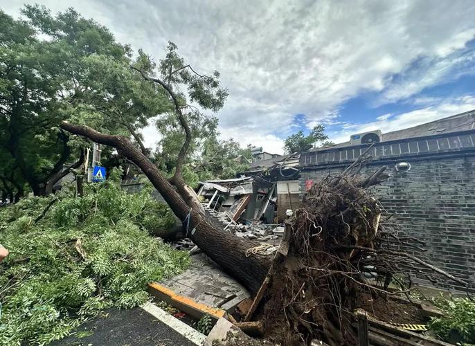雷雨天气来袭 北京发布大风、雷电双预警