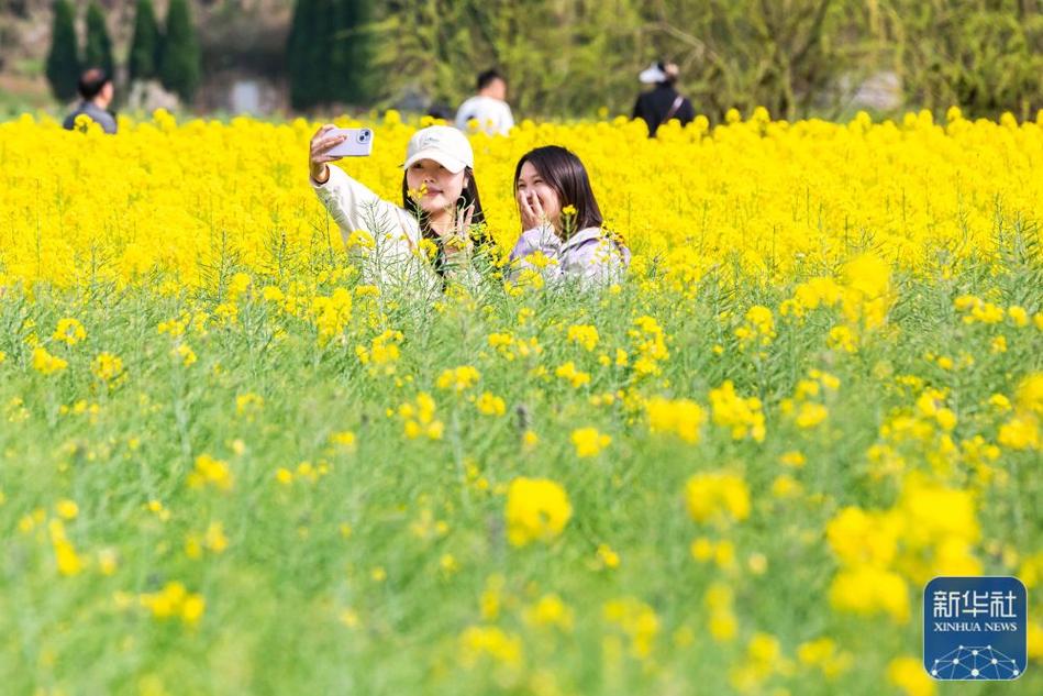组图|海南三亚:烂漫春光好 立春赏花游