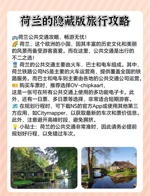 (新春见闻)荷兰旅行者向世界展示中国底蕴