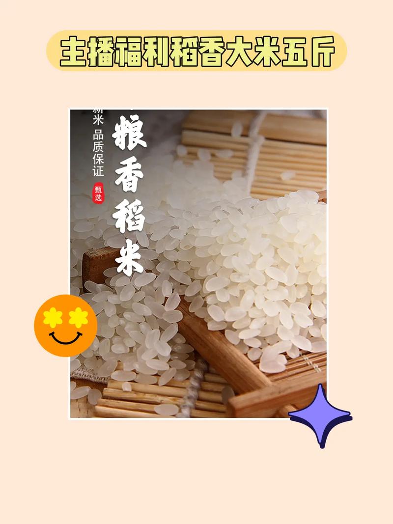 黑土沃田稻飘香 这里的高品质放心粮“未收先售”