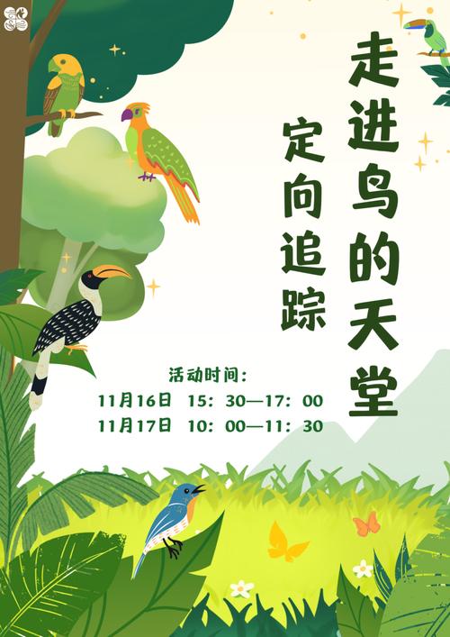 走!一起观鸟去