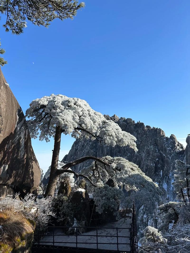 黄山风景区雪景迷人