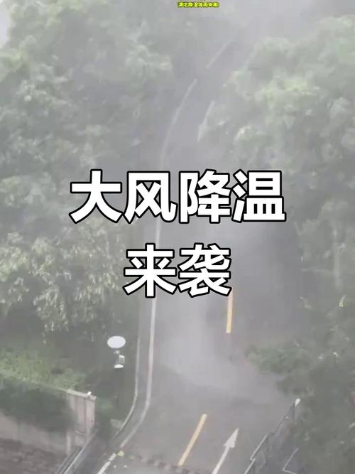 降雨大风来袭 京城气温坐上“过山车”