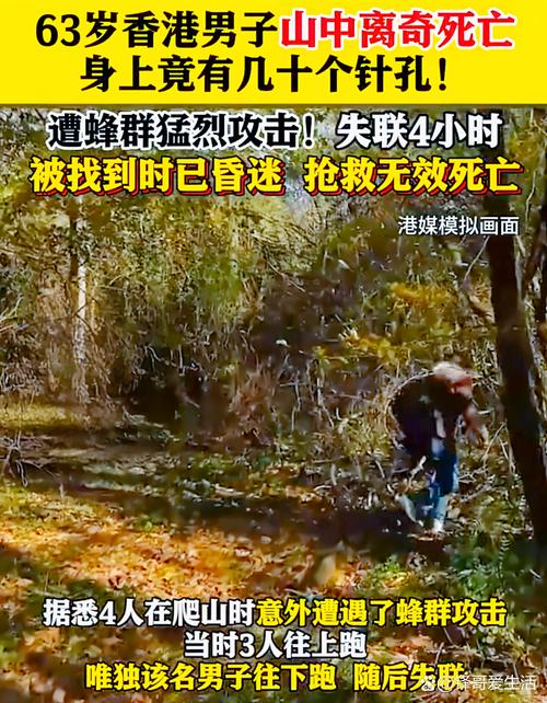 郴州老太上山摘茶籽被鬼头蜂围攻蜇伤昏迷!医生拔出10多根巨大的蜂针