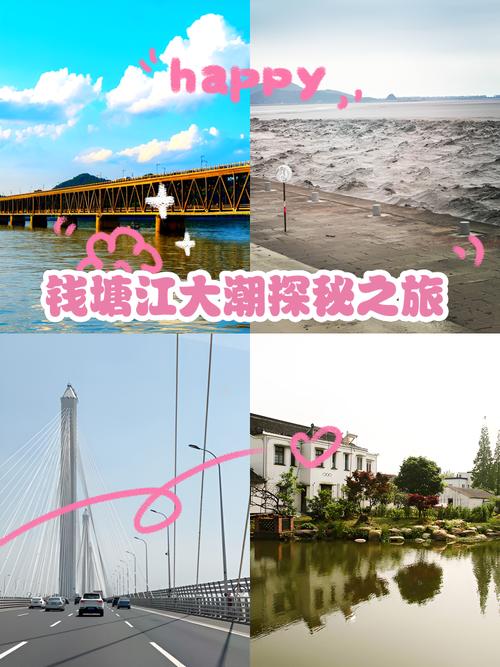 钱塘江古海塘为小螃蟹“让路” 这条生物通道太赞了!