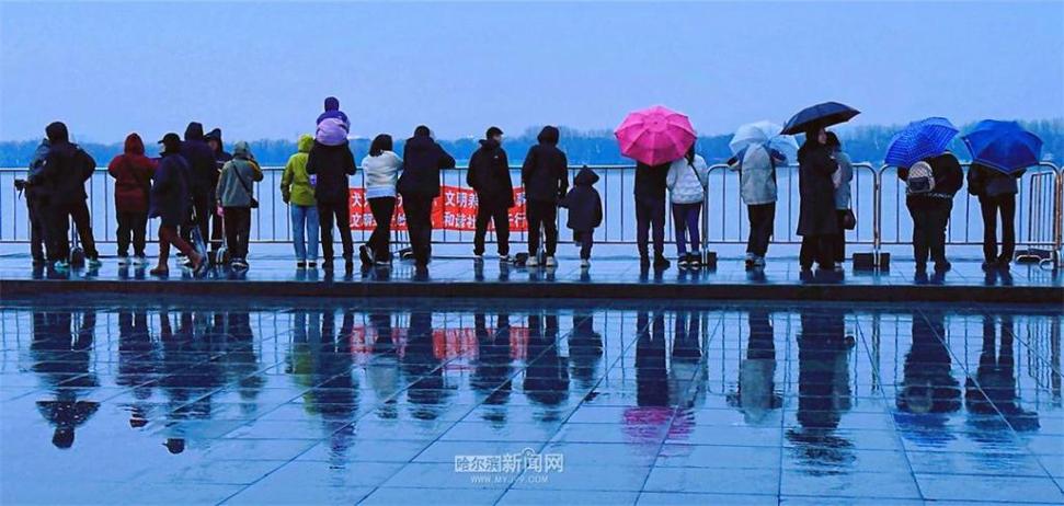 黑龙江省七台河市发布大雾黄色预警_3