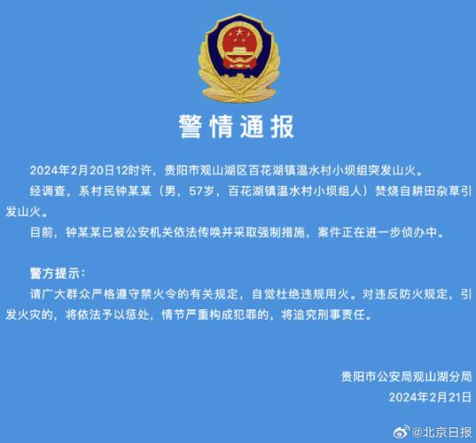 贵阳警方:两人上坟祭拜引发山火 其中一人被刑拘
