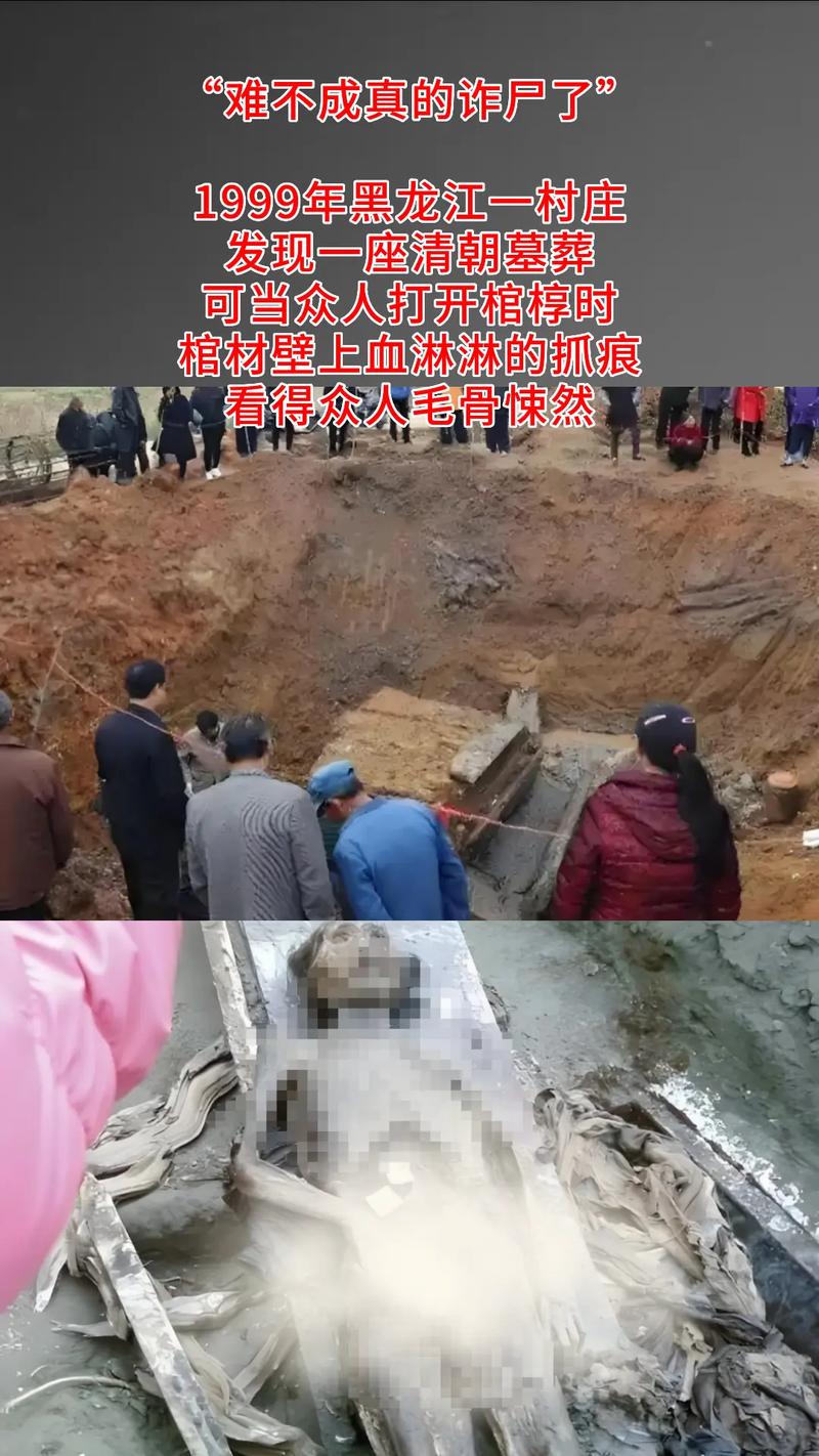 濉溪一男子盗窃树木欲做棺材被抓
