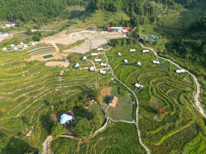 (身边的变化)浙西“一只果”:从山间向东盟