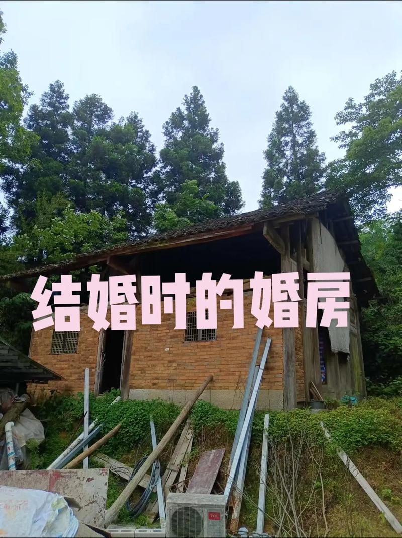 (我家这一年)叶光富:星河征程背后的温暖港湾
