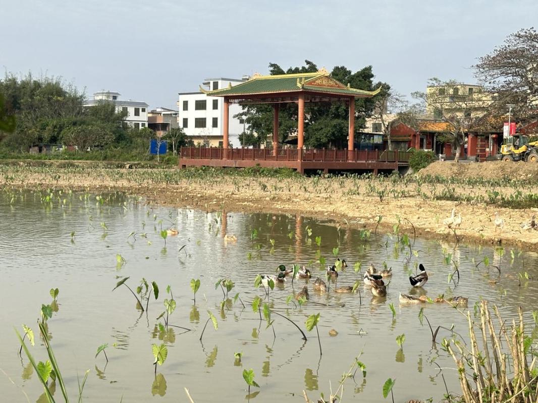海口市美兰区灵山镇仲恺村通过美丽乡村建设,走出红色旅游促发展道路