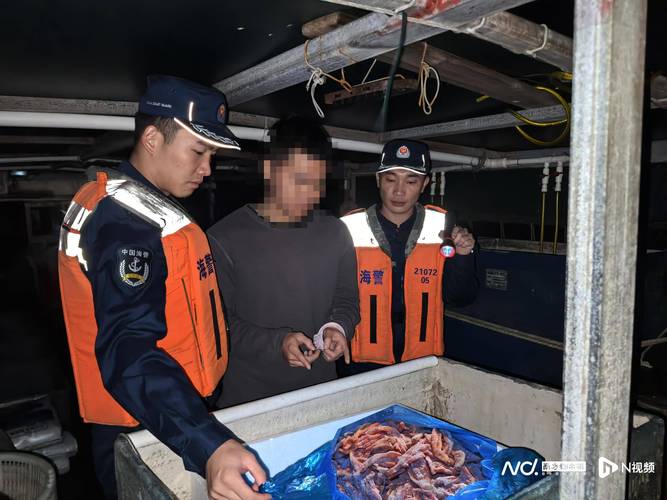 福州海警连夜查获鸡爪等走私冻品80余吨