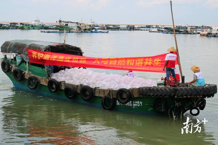 琼海开展海洋渔业资源增殖放流活动 285.82万尾苗种投放大海