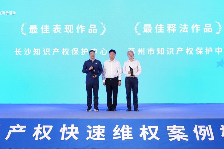 长沙经开区知识产权服务跻身“国家队”