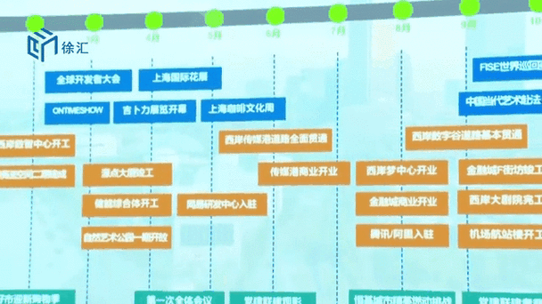 面积不到百分之一,如何创出多项“第一”上海徐汇高质量发展观察