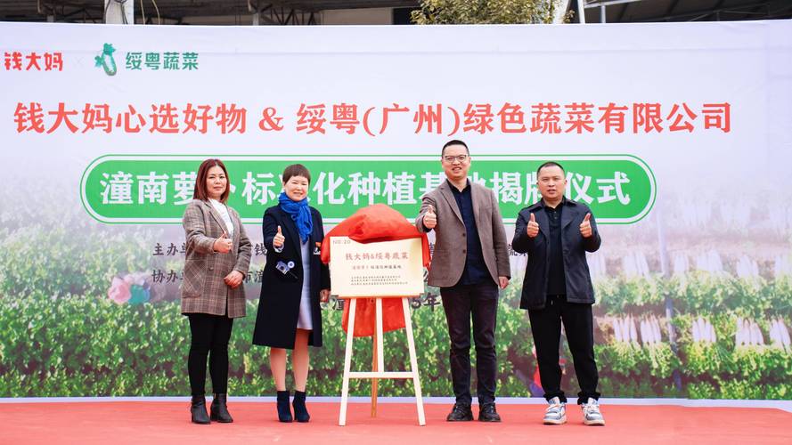 “甜蜜贷”助力甜菜种植丰收季