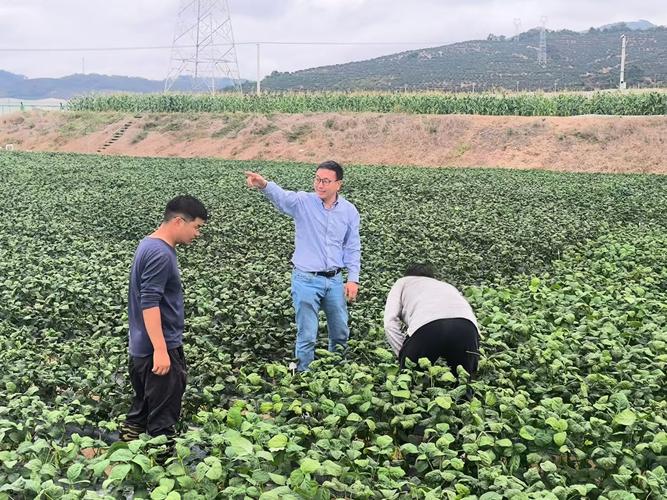 近200名亚太种业嘉宾在三亚南繁参观考察