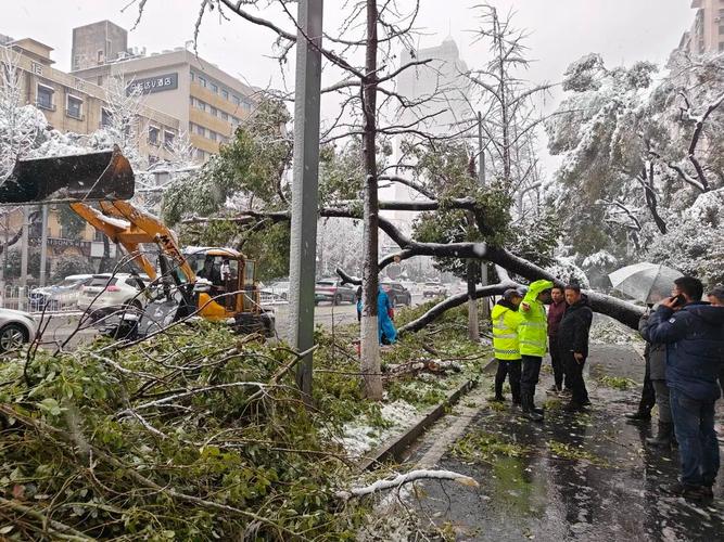 湖南省开福区发布道路结冰黄色预警_1