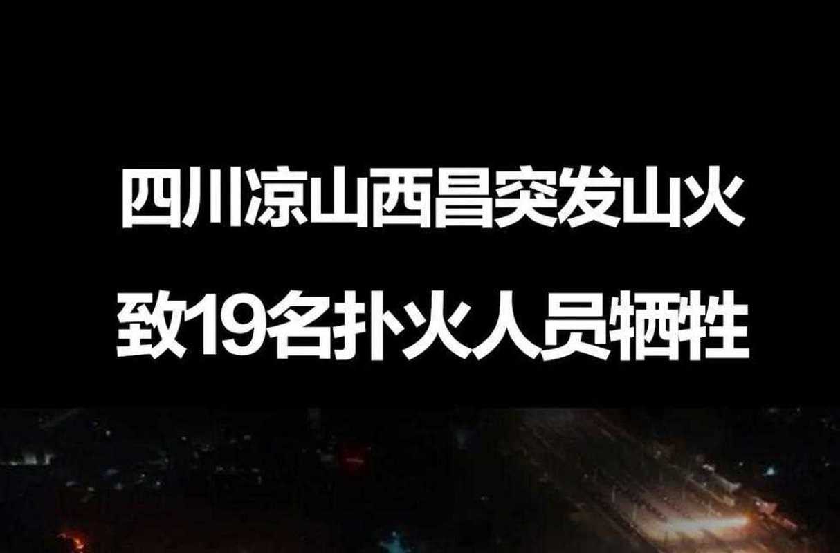 西昌发生一起山火火情 警方通报:4名未成年人点燃树枝后引发