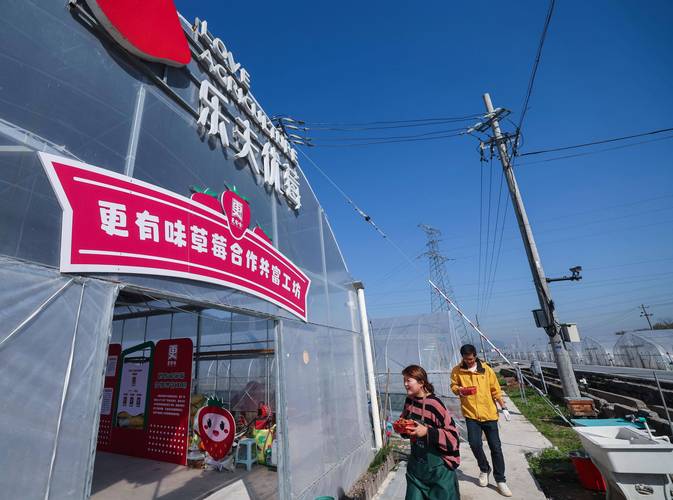 草莓之乡特色产业助共富