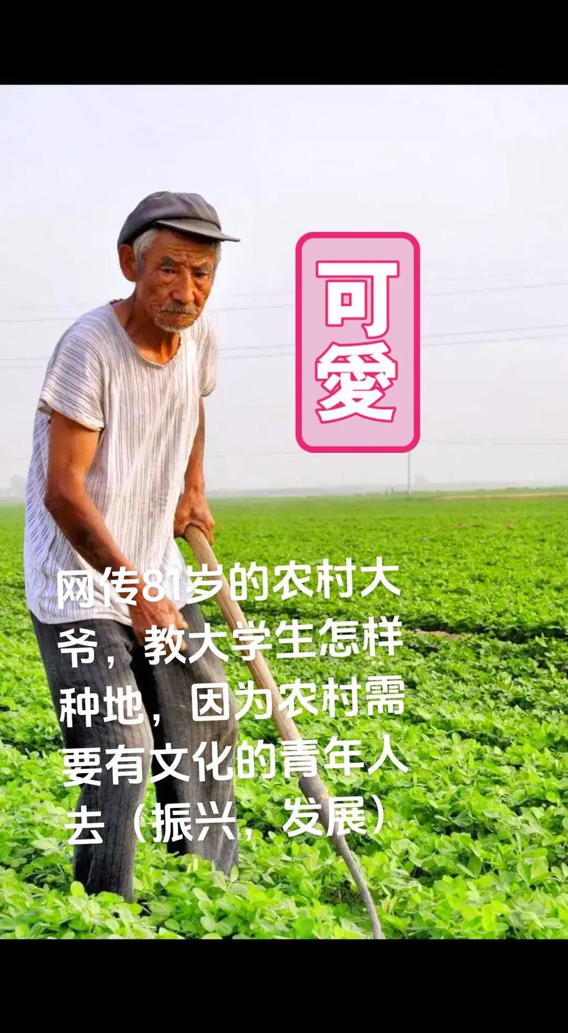 超八成受访青年对我国实现农业农村现代化更有信心了