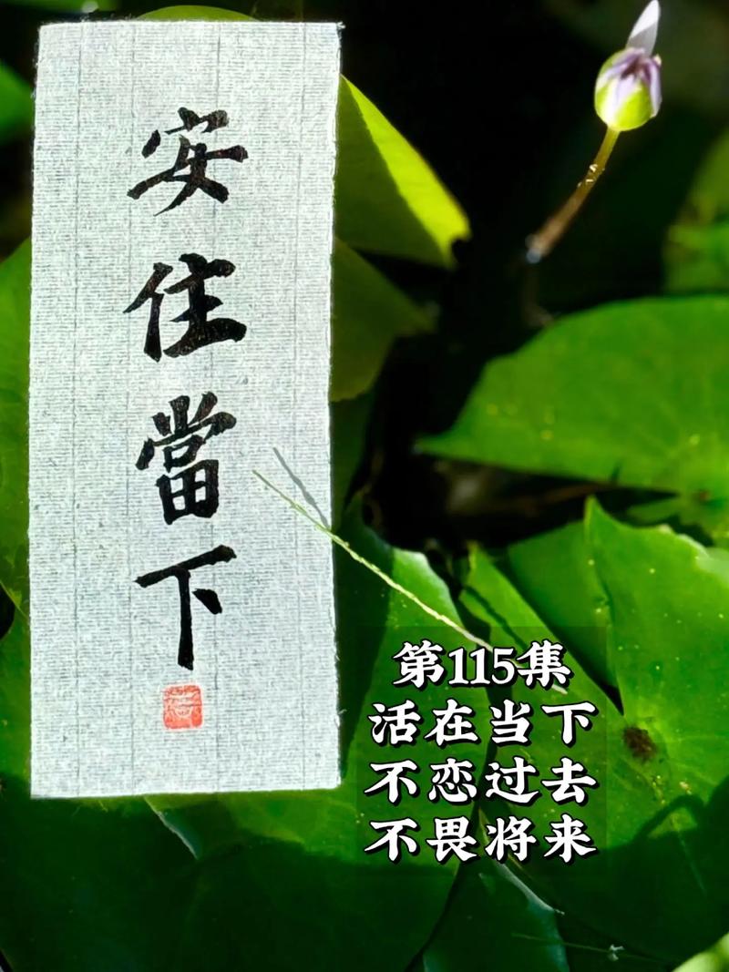 (新春见闻)古籍整理让古书“活”在当下