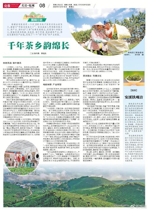 (乡村行·看振兴)做足“茶文章” 福建福鼎推动茶产业融合发展