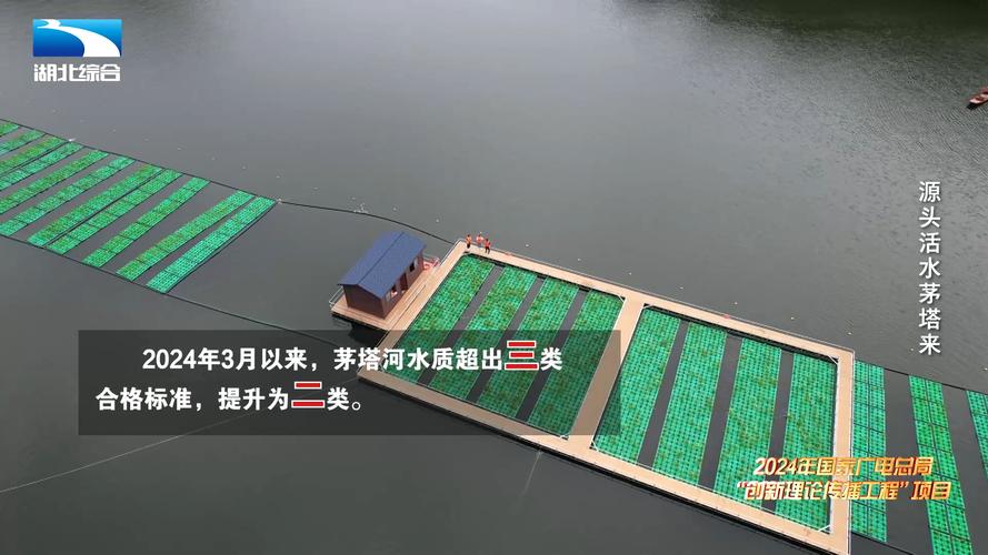 记者探访茅塔河 见证源头活水来