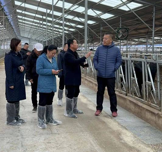 培养“牛”人才!安徽肉牛现代产业学院成立